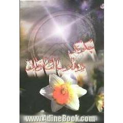 چگونگی دیدار با امام زمان (عچ)