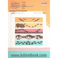 اصول و الگوهای سیستم های توزیع شده