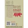 مدیریت خشم: راهنمای عملی: کودکان، نوجوانان و بزرگسالان